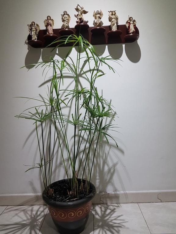Apartament Tu Hogar cerca a la zona T Bogotá Zewnętrze zdjęcie